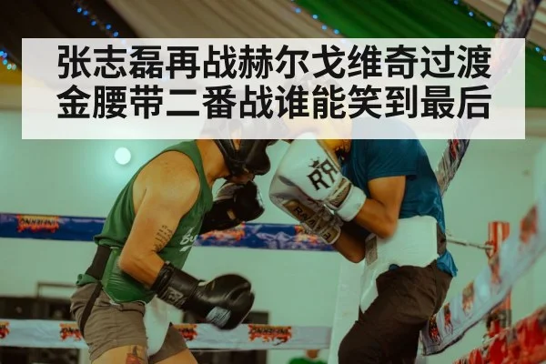 张志磊再战赫尔戈维奇过渡金腰带二番战谁能笑到最后